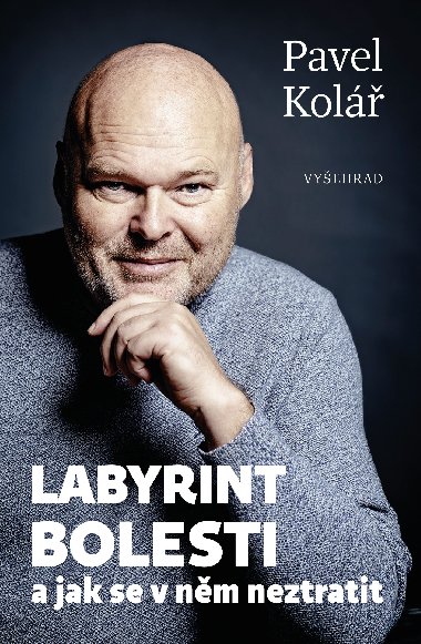 Labyrint bolesti - Pavel Kol 
