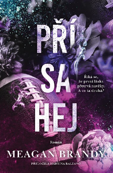Přísahej - Meagan Brandy 
