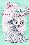 Sovy z arovnho lesa 3 - Narozeninov oslava - Catherine Coeov