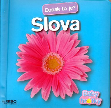 Slova copak to je? - 