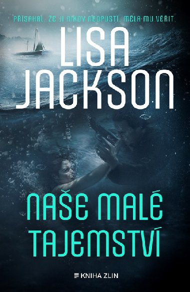 Nae mal tajemstv - Lisa Jackson