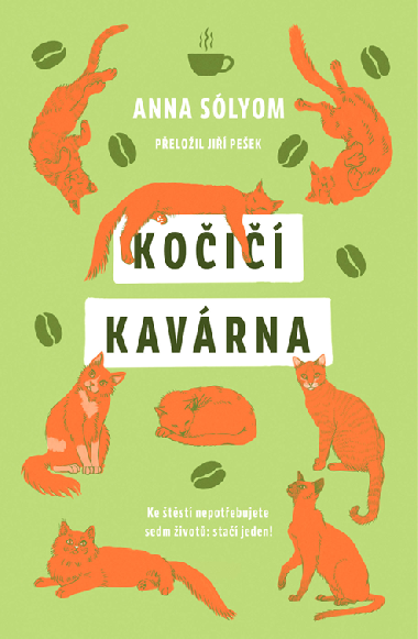 Koi kavrna - Anna Slyom 