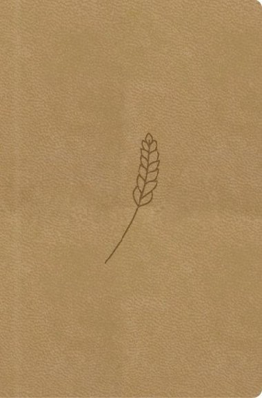 Bible, peklad 21. stolet (medov) - kapesn - neuveden