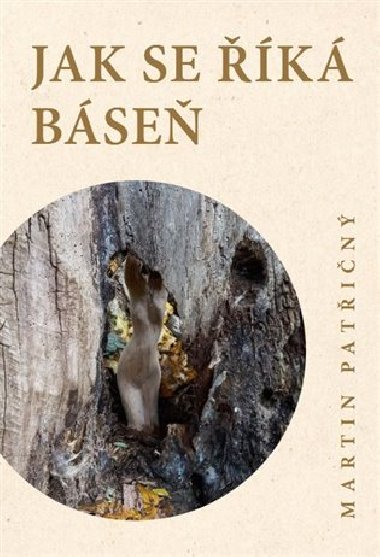 Jak se k bse - Martin Patin
