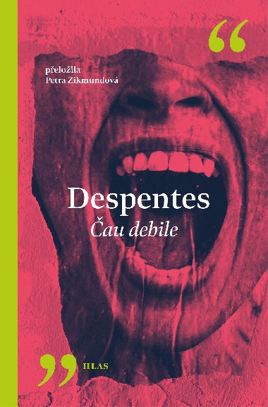 au debile - Virginie Despentes 