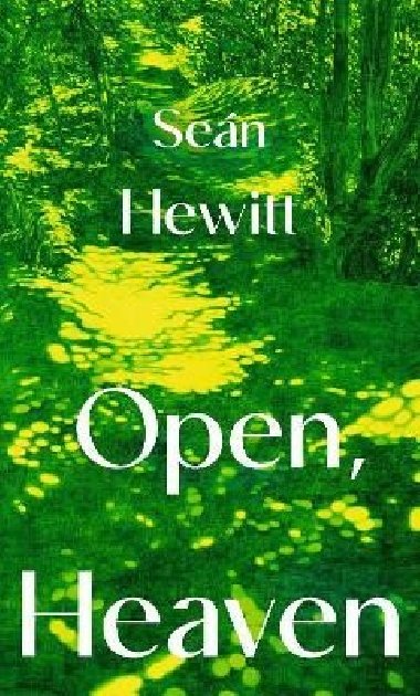 Open, Heaven - Hewitt Sean