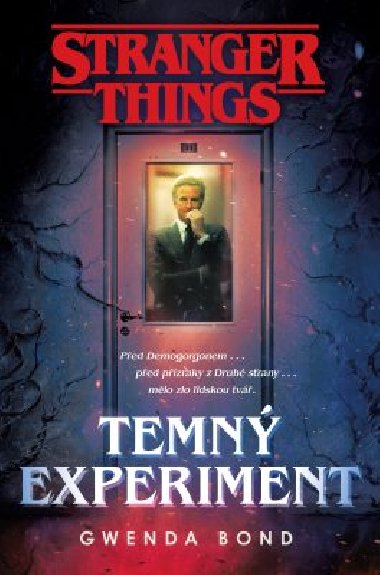 Stranger Things: Temn experiment - Gwenda Bond 