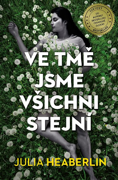 Ve tm jsme vichni stejn - Julia Heaberlin 