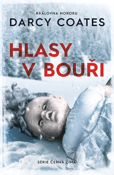 Hlasy v boui - Darcy Coates 