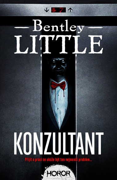 Konzultant - Bentley Little 