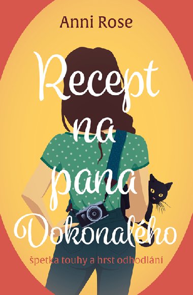 Recept na pana Dokonalho - Anni Rose 
