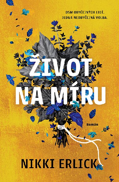 ivot na mru - Nikki Erlick 