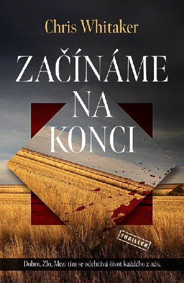 Zanme na konci - Chris Whitaker 