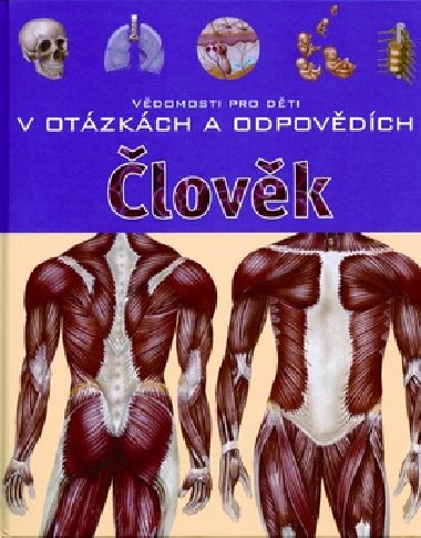 lovk - 