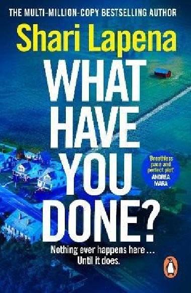 What Have You Done? - Lapena Shari