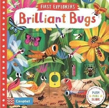 Brilliant Bugs - Chorkung