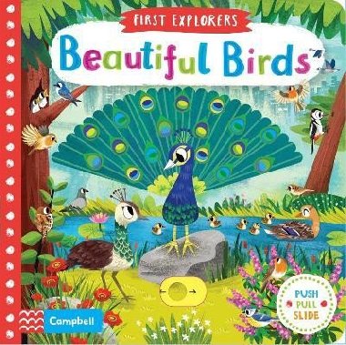 Beautiful Birds - Chorkung