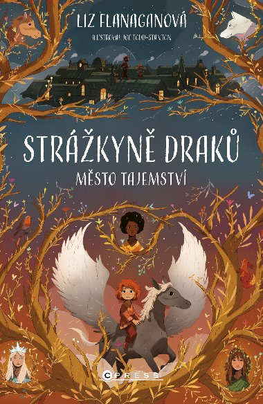 Strkyn drak: Msto tajemstv - Liz Flanaganov 