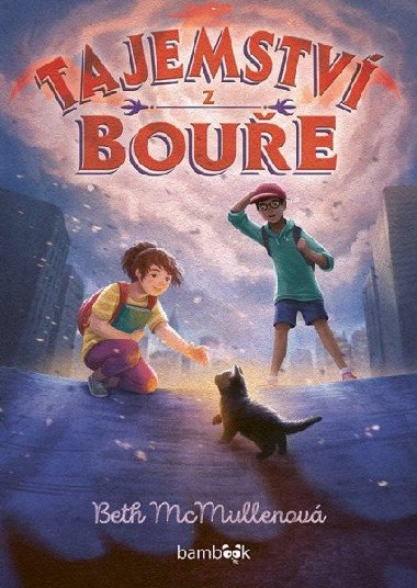 Tajemstv z boue - Beth McMullenov
