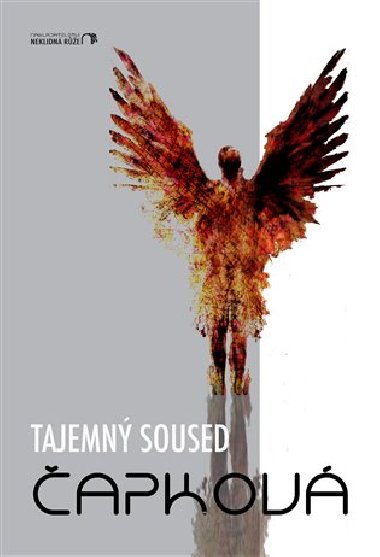 Tajemn soused - Monika J. apkov
