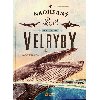 Velryby - Ndhern svt mo a ocen - Nakladatelstv SUN
