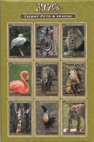 ern Petr a pexeso - ZOO - Petr Minek