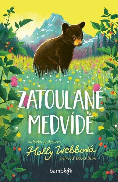 Zatoulan medvd - Holly Webbov; David Dean