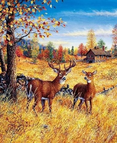 Diamantov malovn Jeleni na poli 30x40cm - 