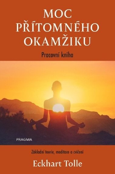 Moc ptomnho okamiku - pracovn kniha - Eckhart Tolle