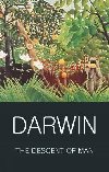 The Descent of Man - Darwin Charles