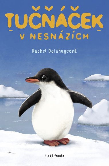 Tuek v nesnzch - Rachel Delahayeov