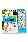 ھasn svt zvat - Encyklopedie se zvuky (anglicky+esky) - Svojtka