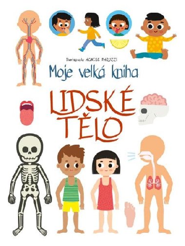 Moje velk kniha Lidsk tlo - Baruzziov Agnese
