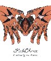 PichObraz - Omalovnky pro dospl - DickObraz