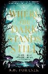 Where the Dark Stands Still - Poranek A. B.