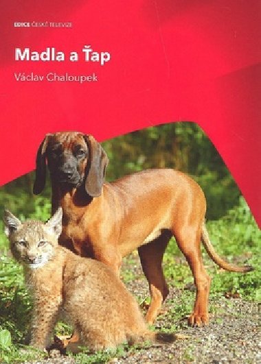 Madla a ap - Vclav Chaloupek