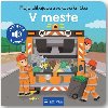 Moja blikajca zvukov knika V meste - 