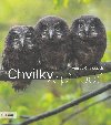 Chvilky v prod - Vclav Chaloupek