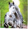 Kon 2025 - nstnn kalend - Balouek