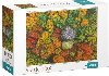 Puzzle Dzembronya, Ukrajina 1000 dlk - neuveden