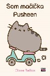 Som maika Pusheen - Claire Belton