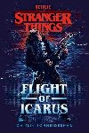 Stranger Things: Flight of Icarus - Schneiderhan Caitlin