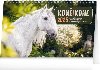 Kon 2025  - stoln kalend (23,1  14,5 cm) - Presco Group