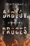 blv proces - Adrian Bednarek