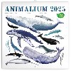 Poznmkov kalend Animalium 2025 - 