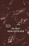 Hledn ztracench sn - Vclav Vokolek