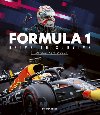 Formula 1: Drive to Survive - neoficilny sprievodca (slovensky) - Codling Stuart