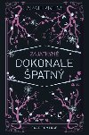 Zajatkyn: Dokonale patn - Sarah Rivens