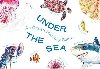 Under the Sea: An Ocean Memory Game - Unwin Mike