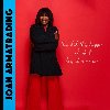 How Did This Happen and What Does It Now Mean - LP - Armatrading Joan